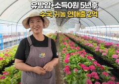 수국으로 귀농해서 연매출 2억! 고난의 끝에서 결실을 맺다!